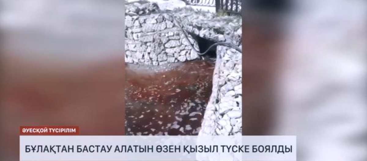 Фото: видеодан алынған кадр
