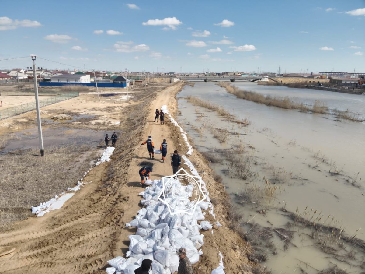 Фото: ТЖМ баспасөз қызметі