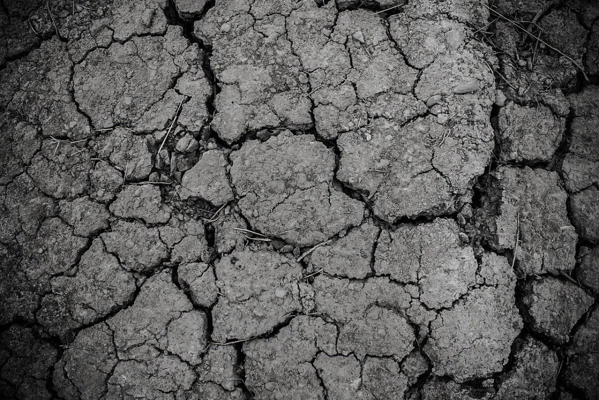 Фото: pixabay.com
