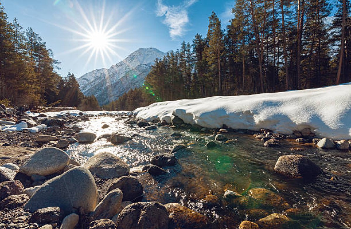 Фото: Pixabay
