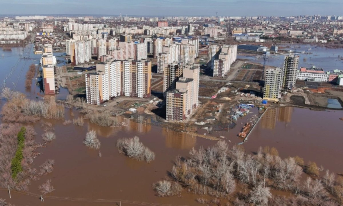 Фото: Егор Алеев / ТАСС