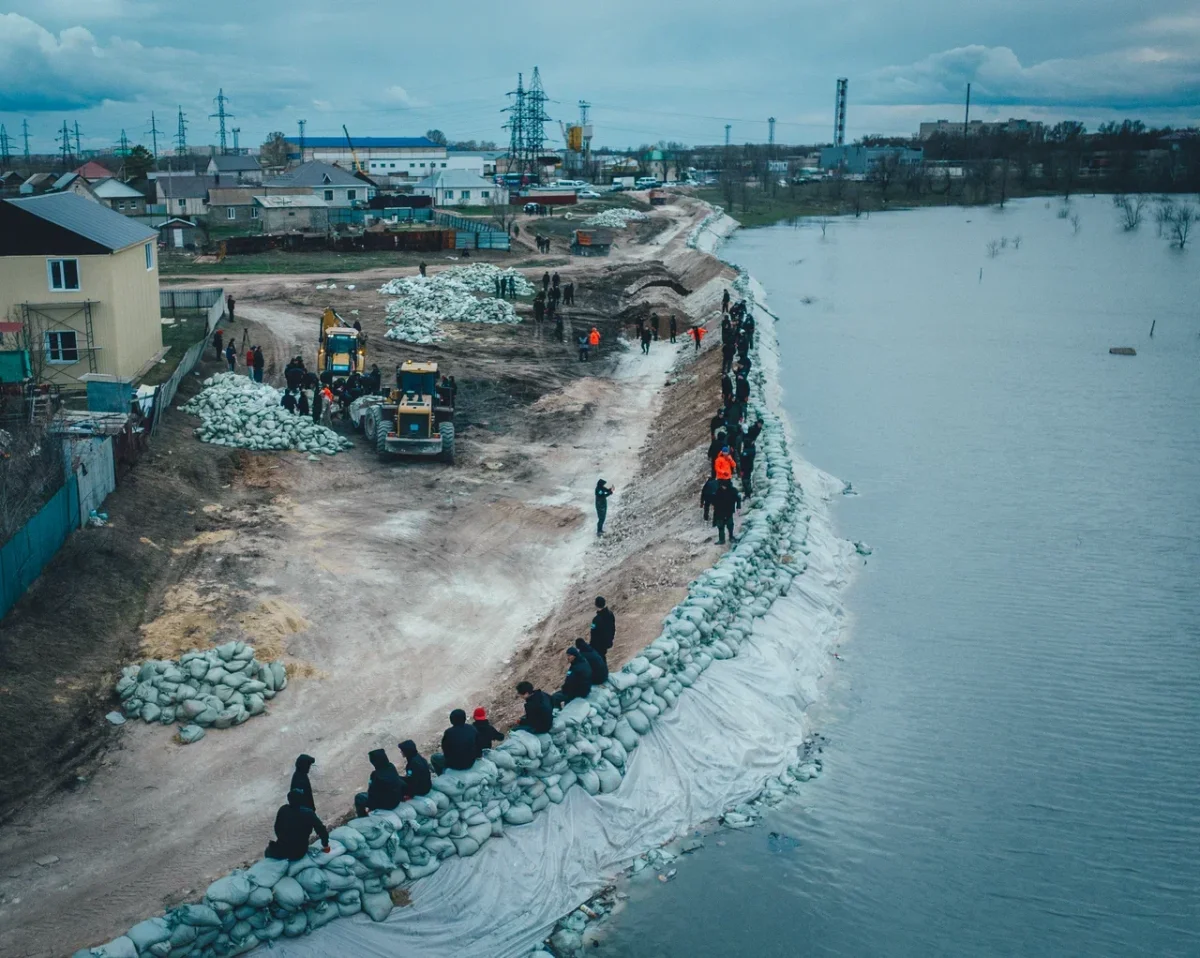 Фото: Дала Қырандары