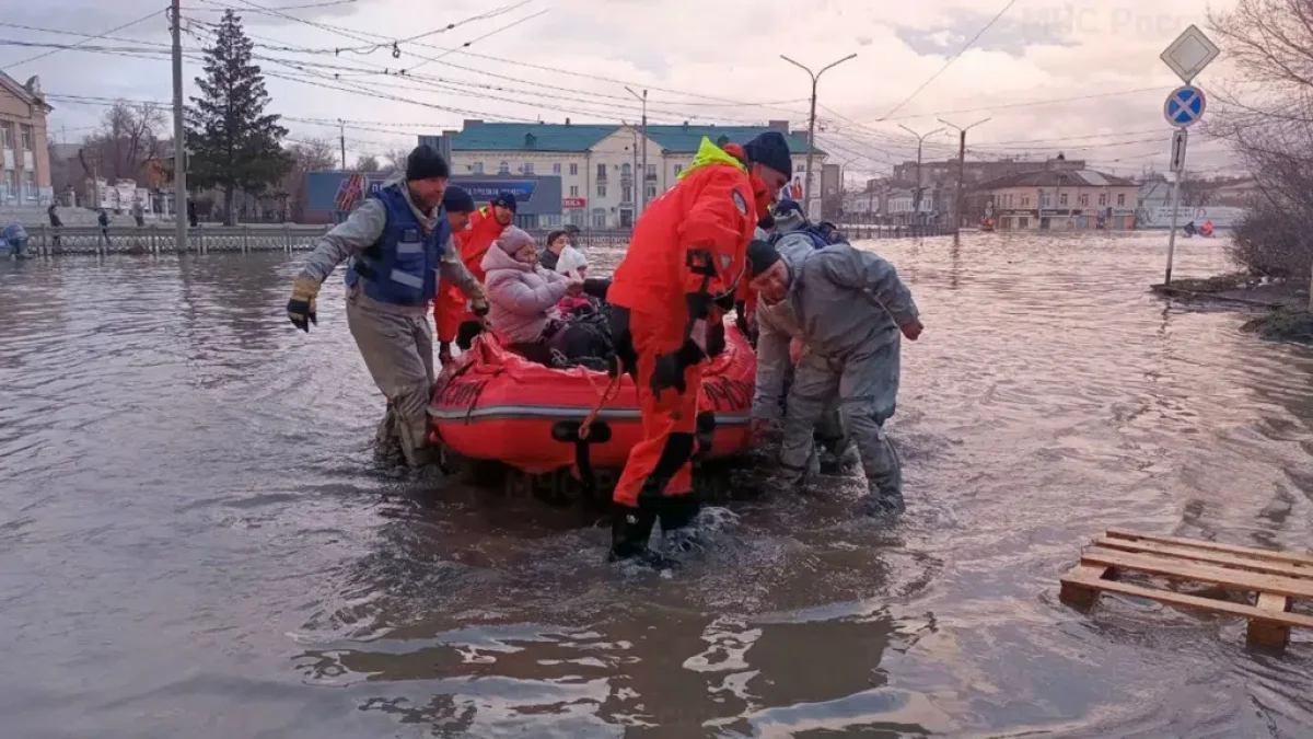 Фото: ТЖМ