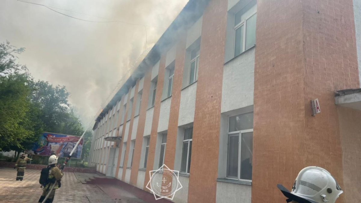 Фото: ТЖМ