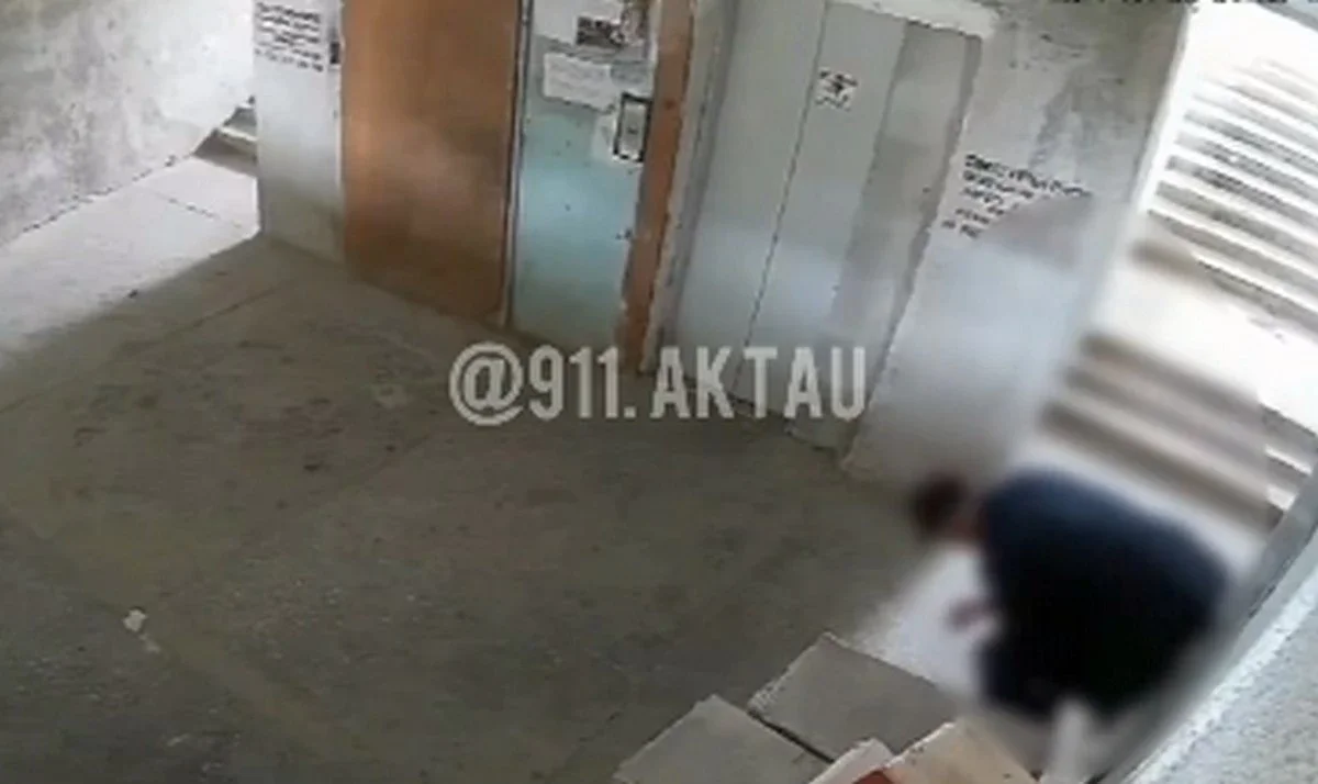 Фото: видеодағы кадрдан алынды