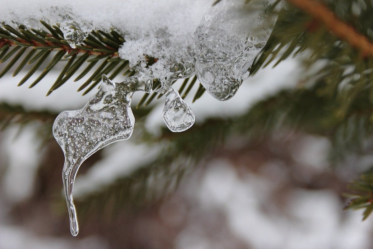 Фото: pixabay.com