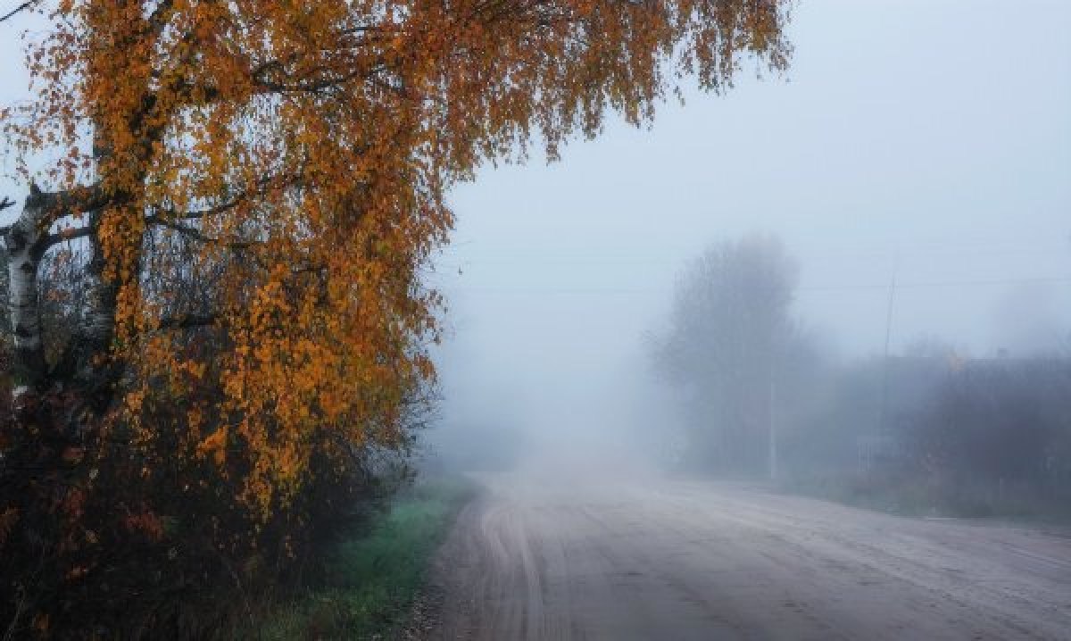 Фото: freepik