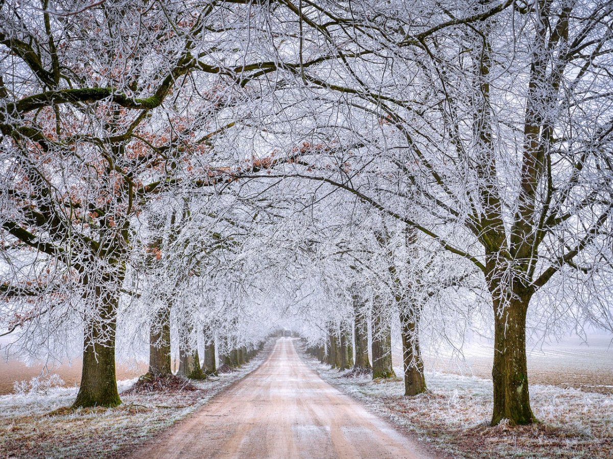 Фото: pixabay