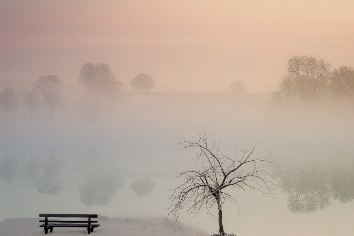 Фото: pixabay