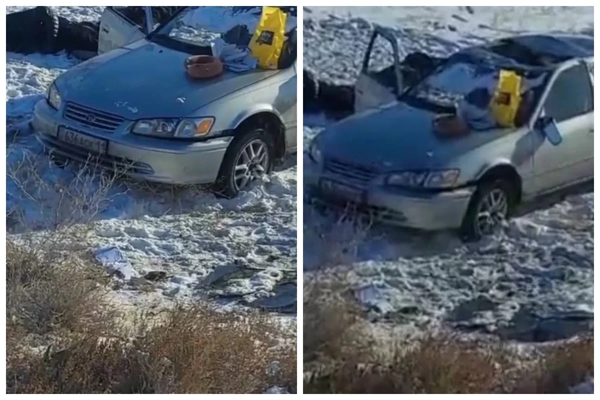 Фото: видео скриншот