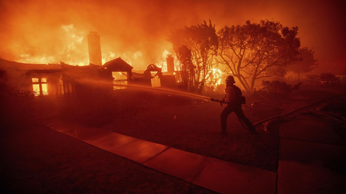 Фото: BBC