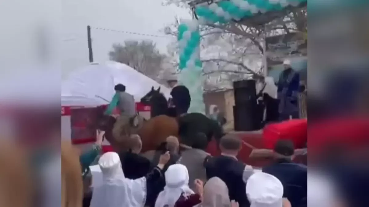 Фото: видео скриншот