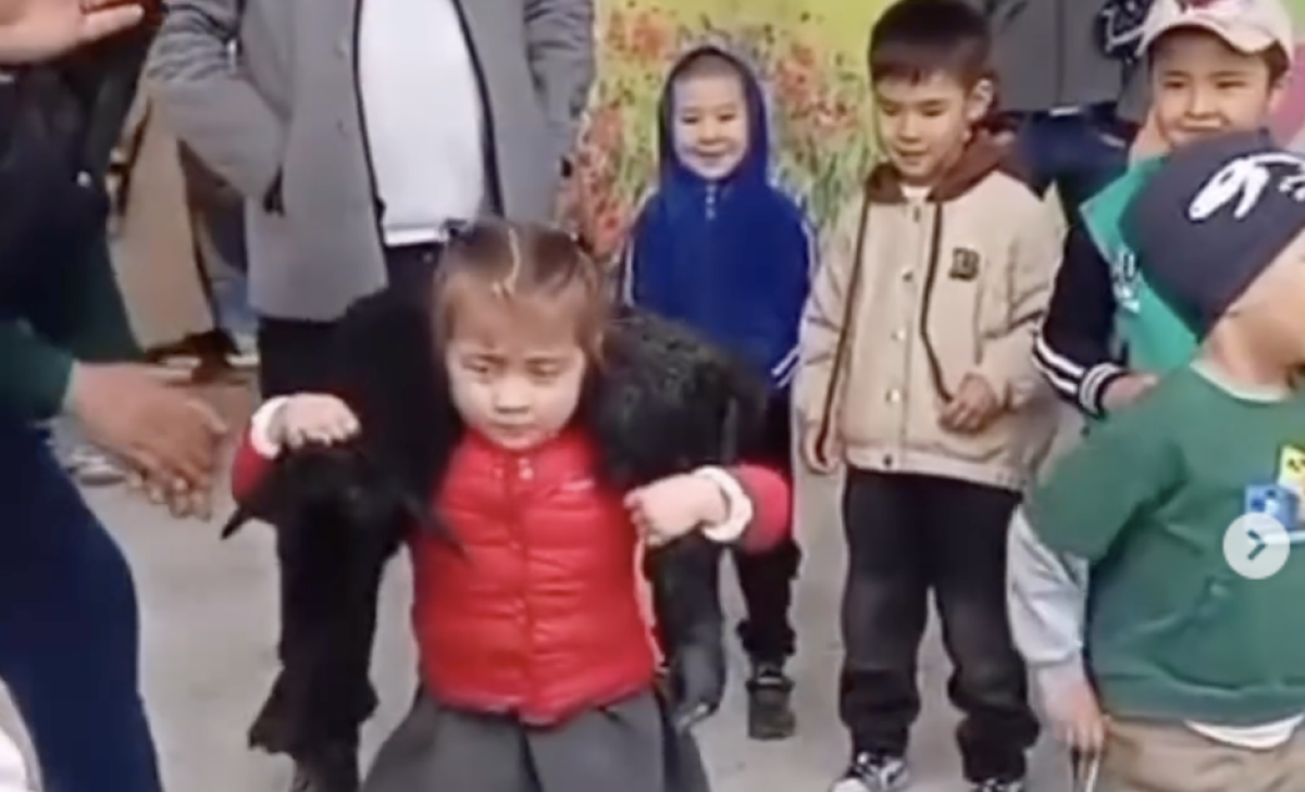 Фото: видео скриншот