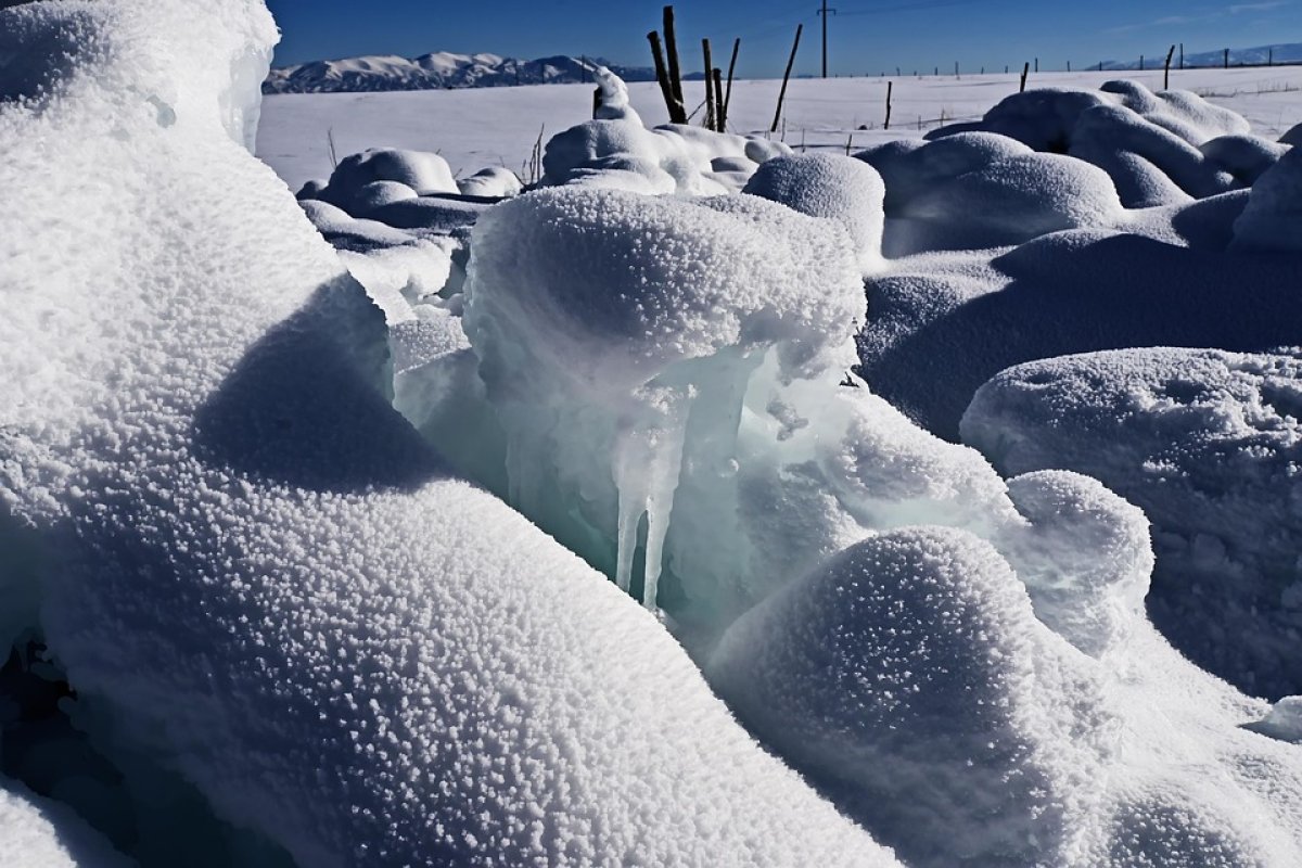 Фото: Pixabay.com