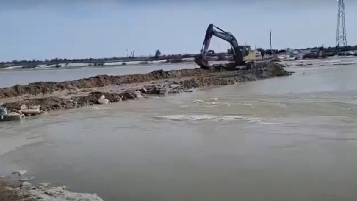 Фото: видео скриншот