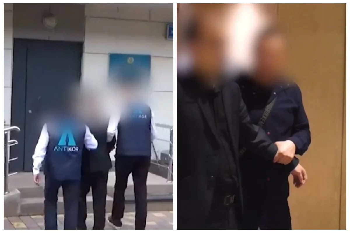 Фото: видео скриншот