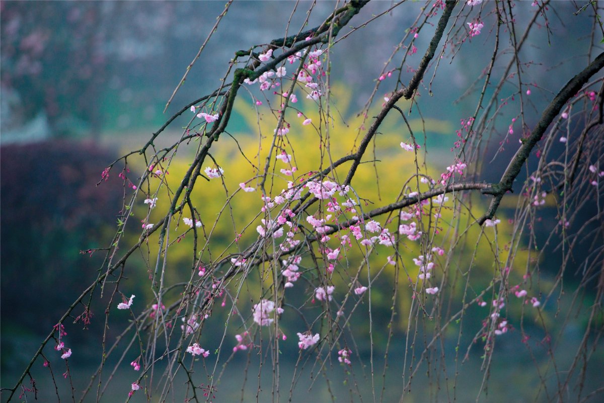 Фото: Pixabay