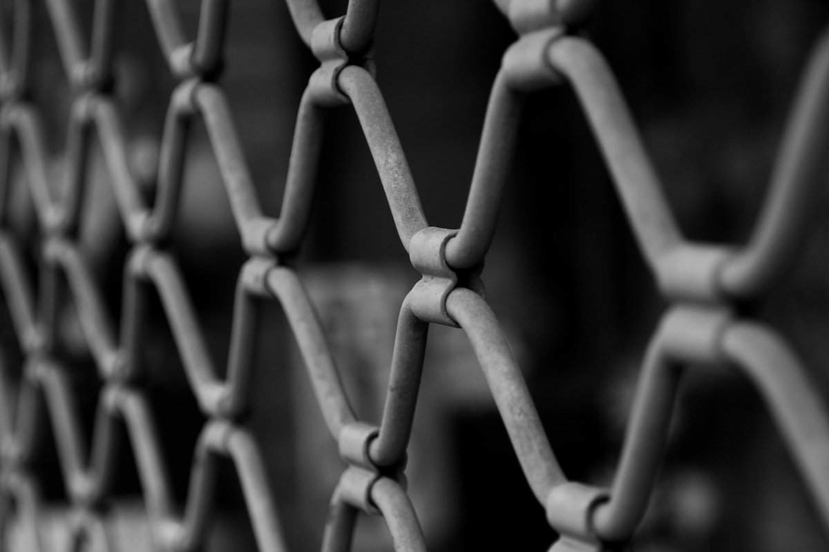 Фото: Pixabay