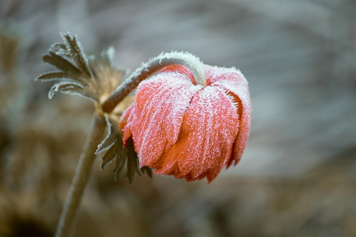 Фото: Pixabay.com