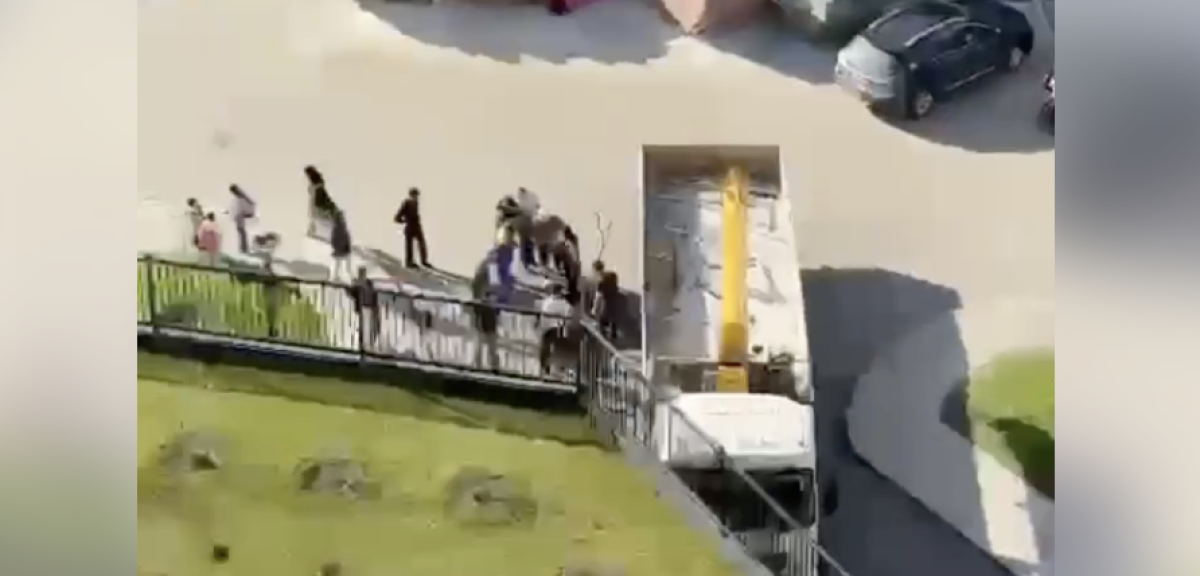 Фото: видео скриншот