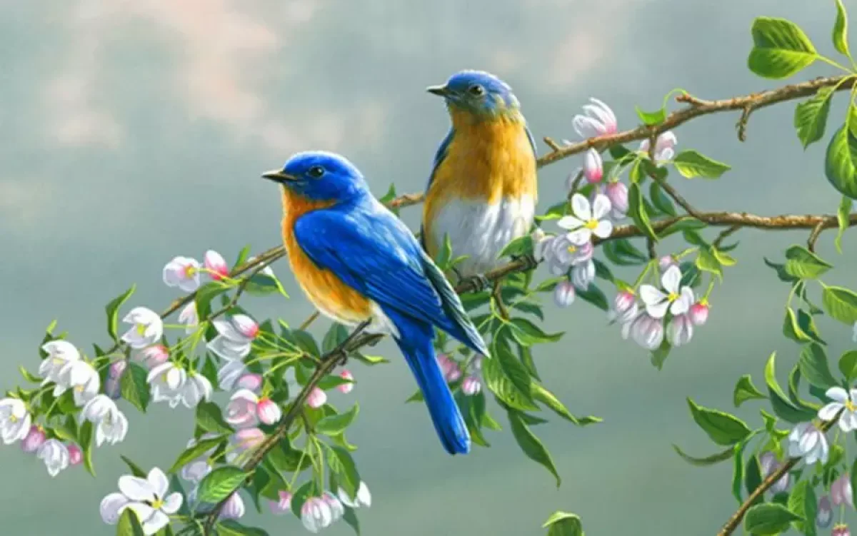 Фото: cutewallpaper.org