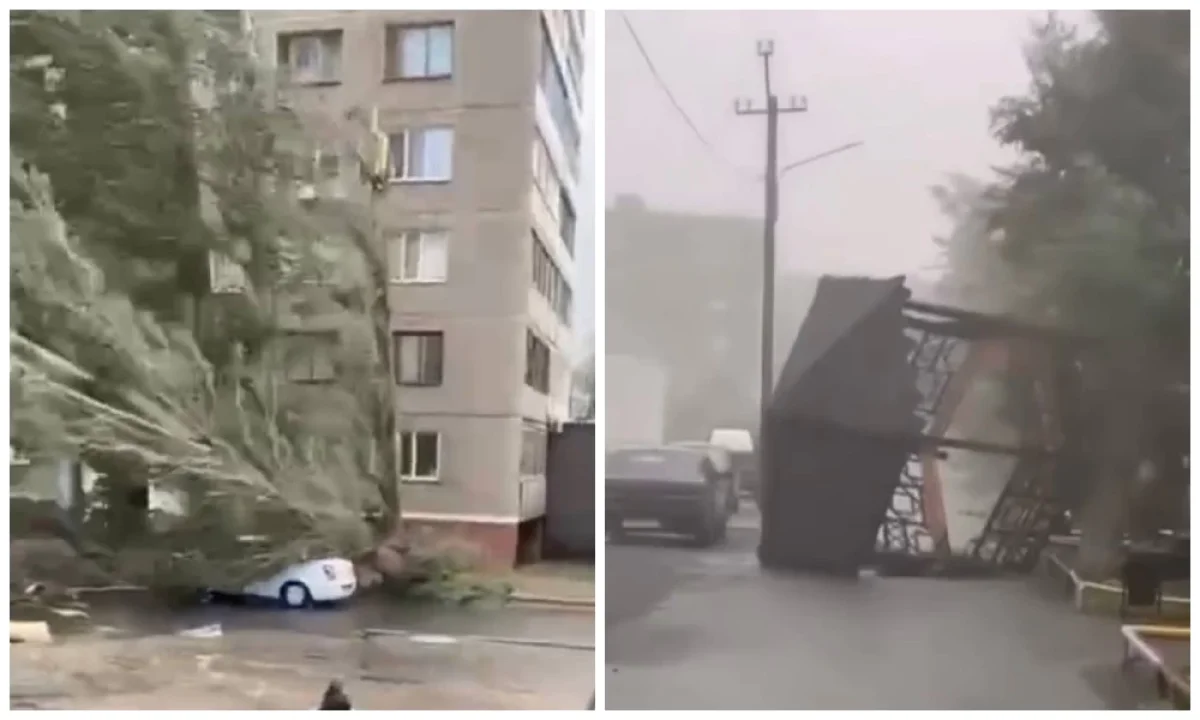 Фото: видео скриншот