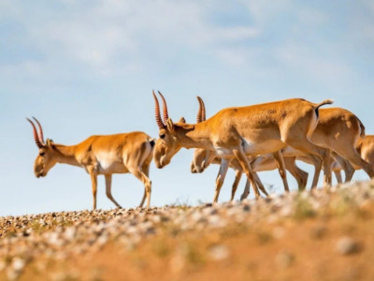 Фото: istockphoto.com