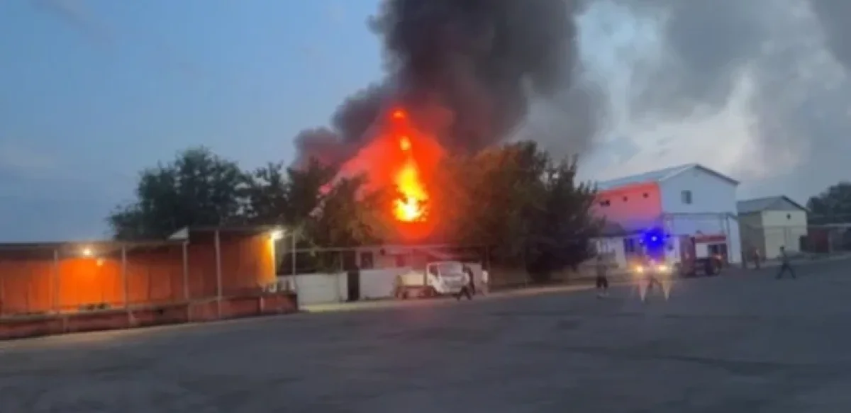 Фото: видео скриншот
