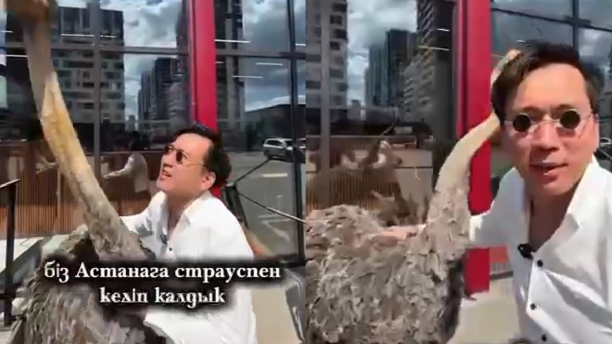 Фото: Видеодан алынған кадр