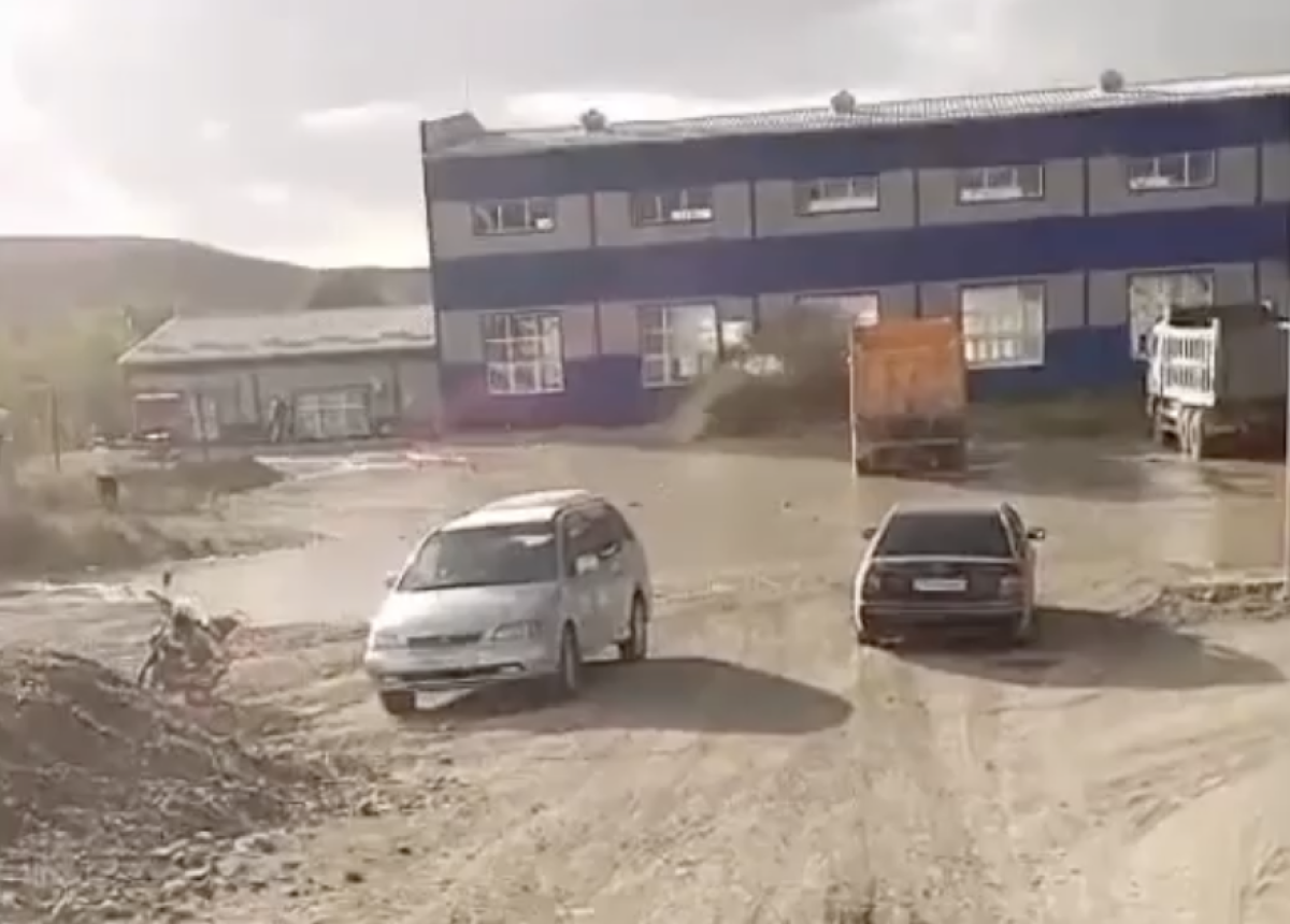 Фото: видео скриншот