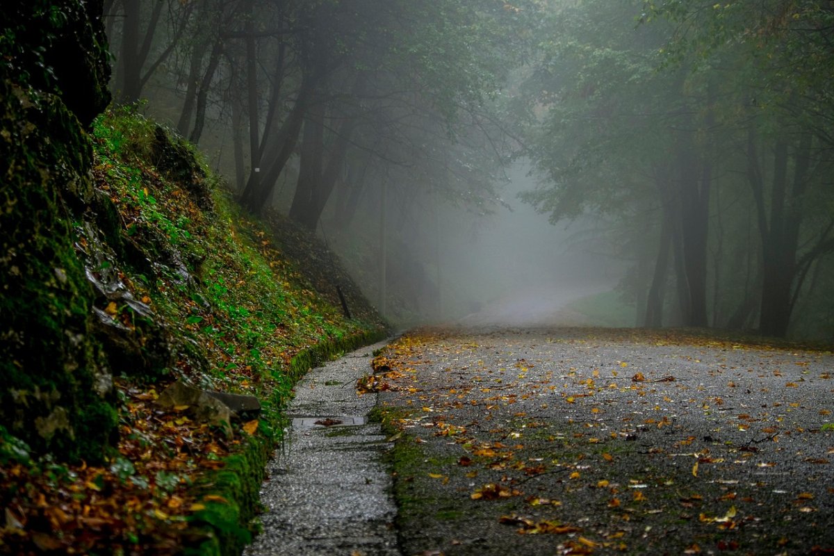Фото: Pixabay