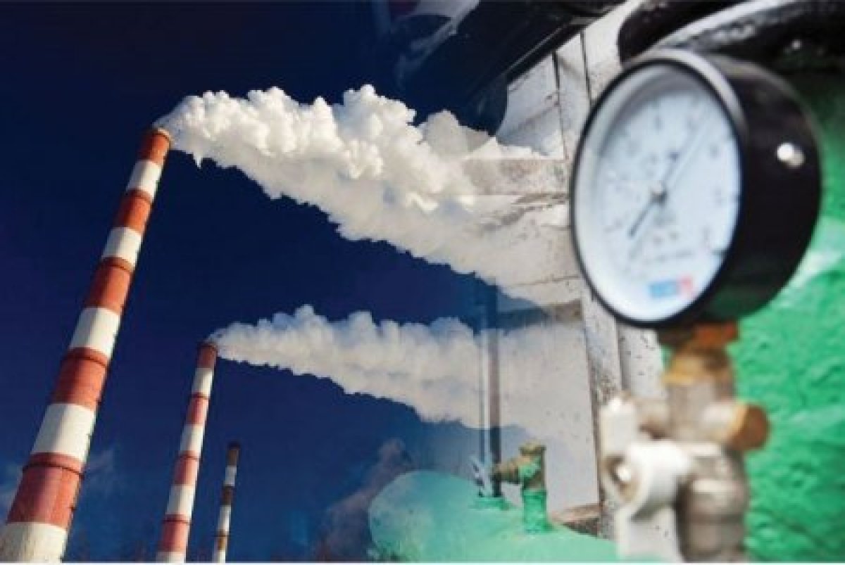 Фото: zhanaqorgan-tynysy.kz