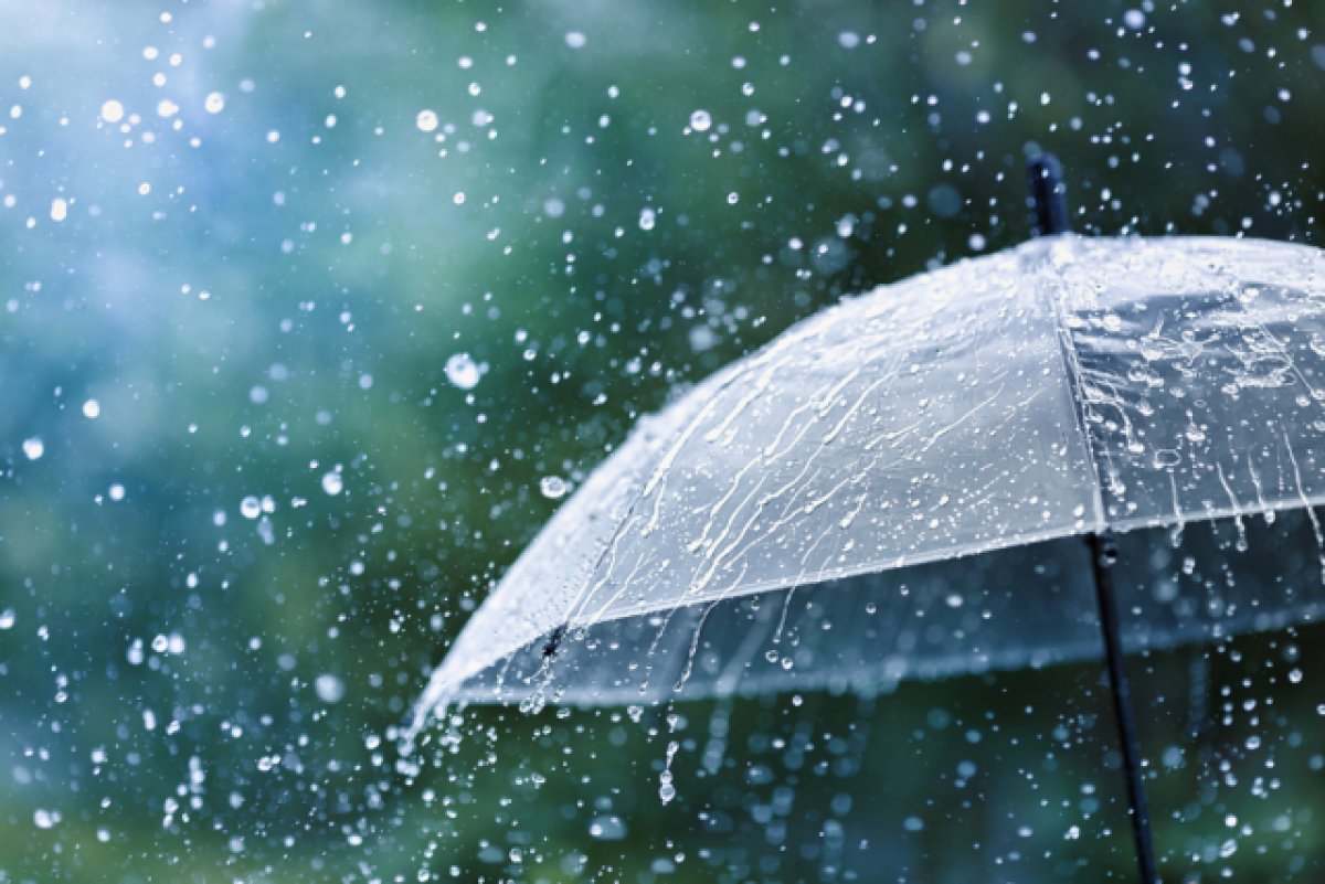 Фото: ©shutterstock