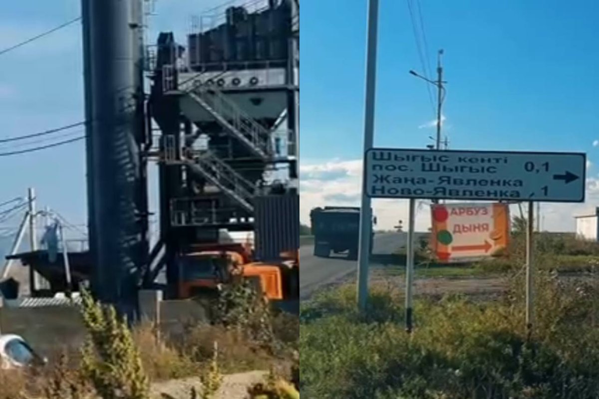 Фото: видеодан скрин