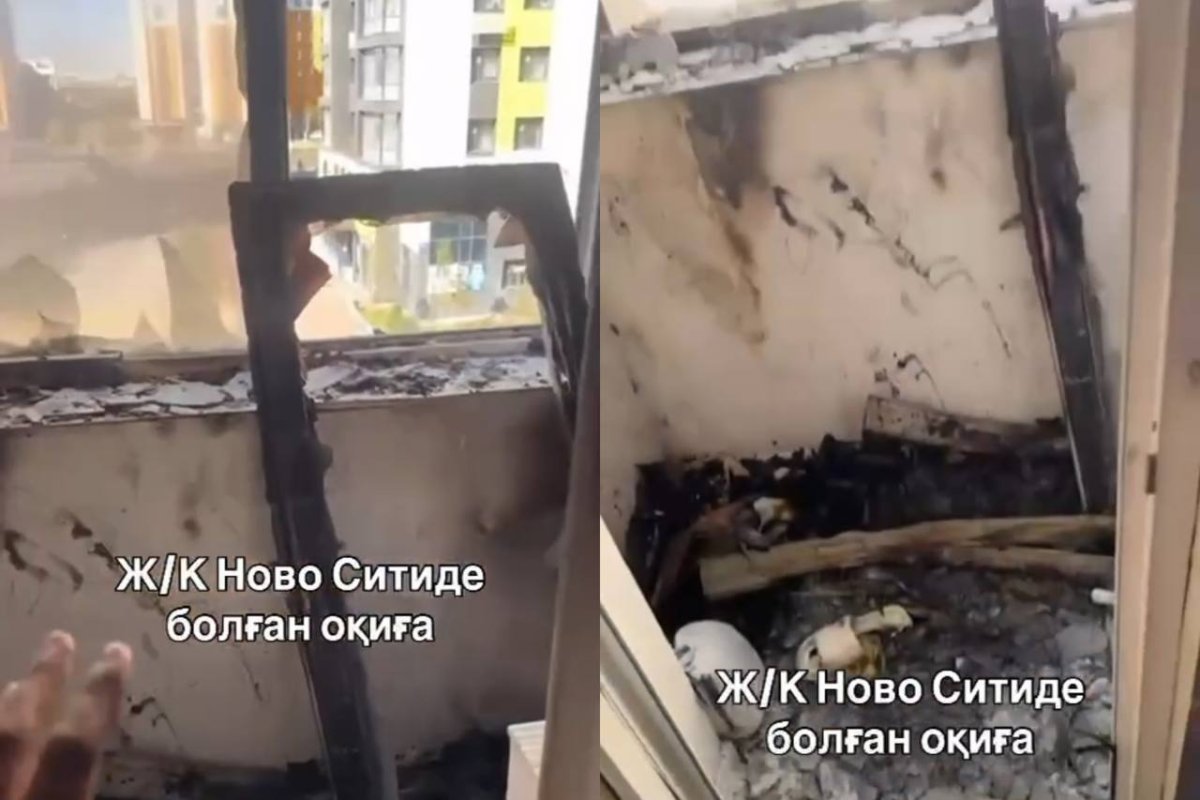 Фото: видеодан скриншот