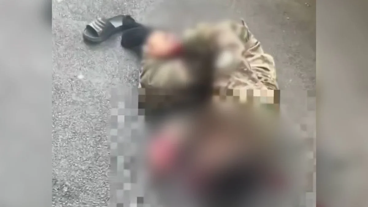 Фото: видео скриншот
