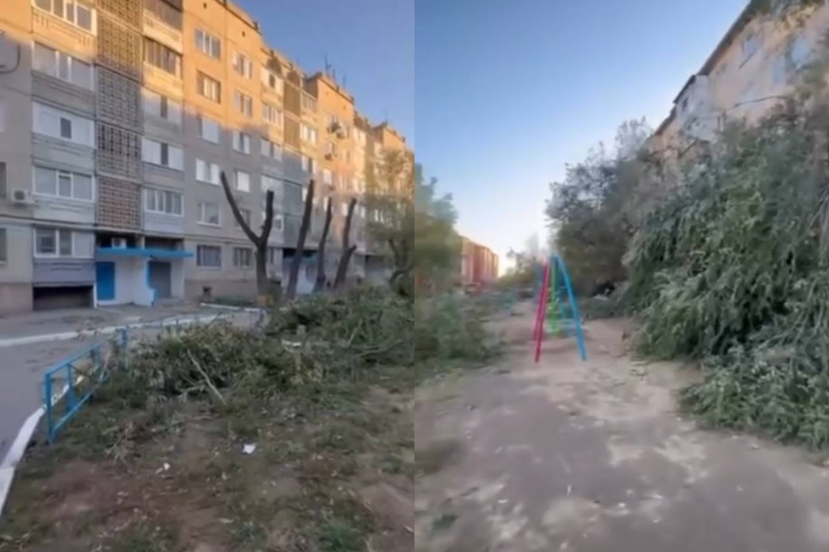 Фото: видеодан скрин