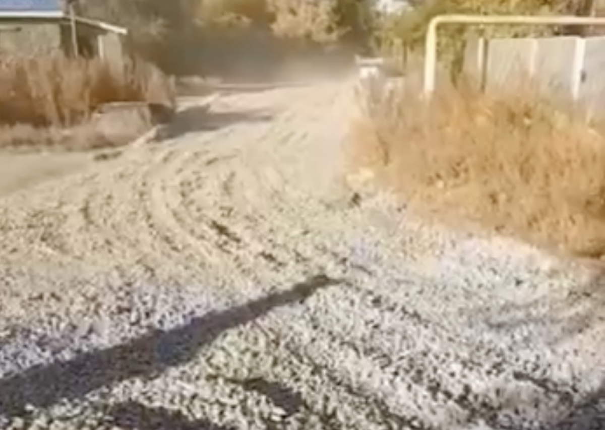 Фото: видео скриншот