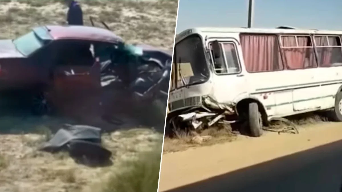 Фото: видео скриншот