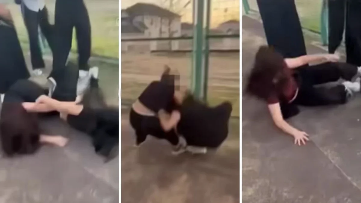 Фото: видео скриншот