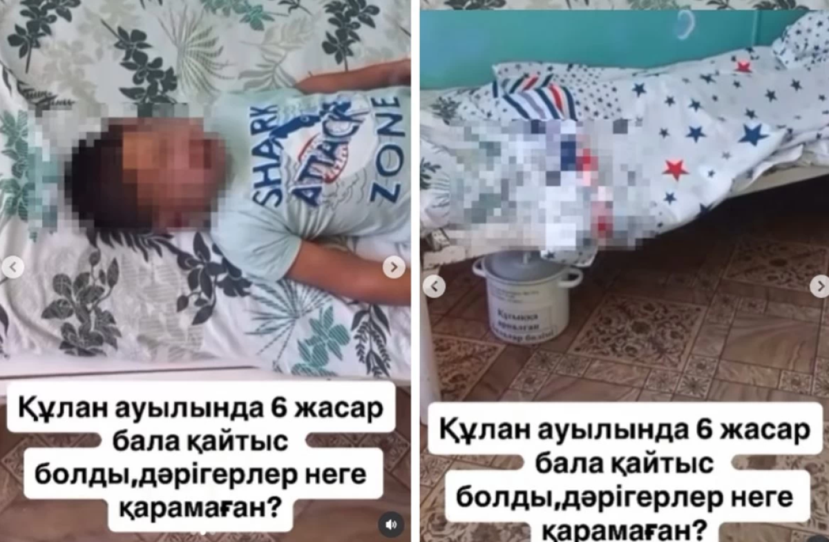 Фото: видеодан скрин
