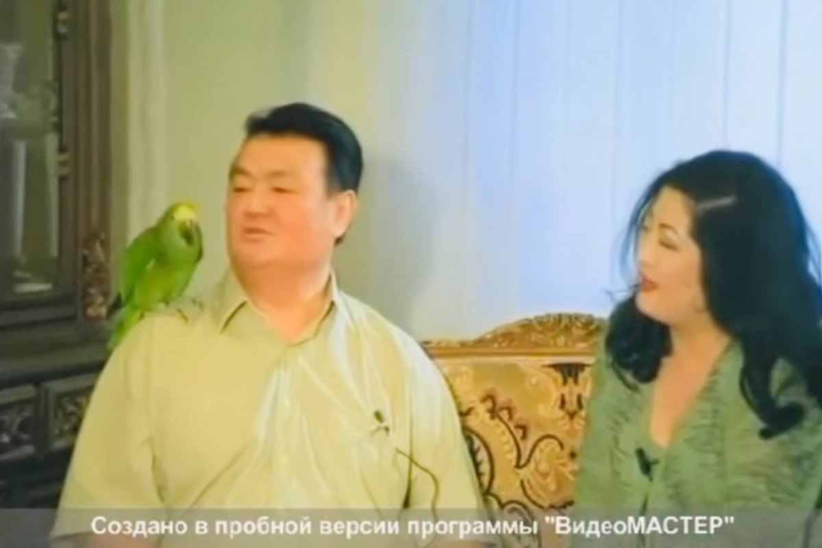 Фото: видеодан скриншот