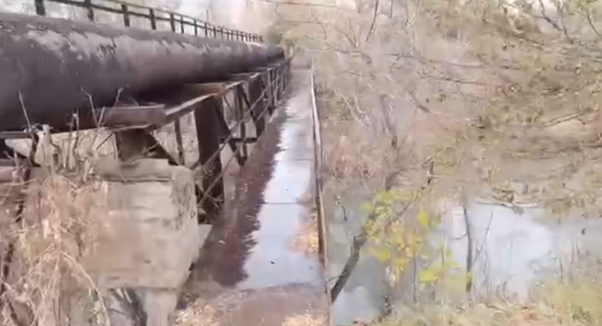 Фото: видеодан скрин