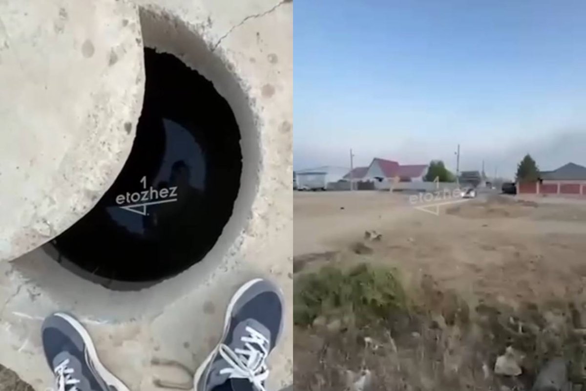 Фото: видеодан скриншот