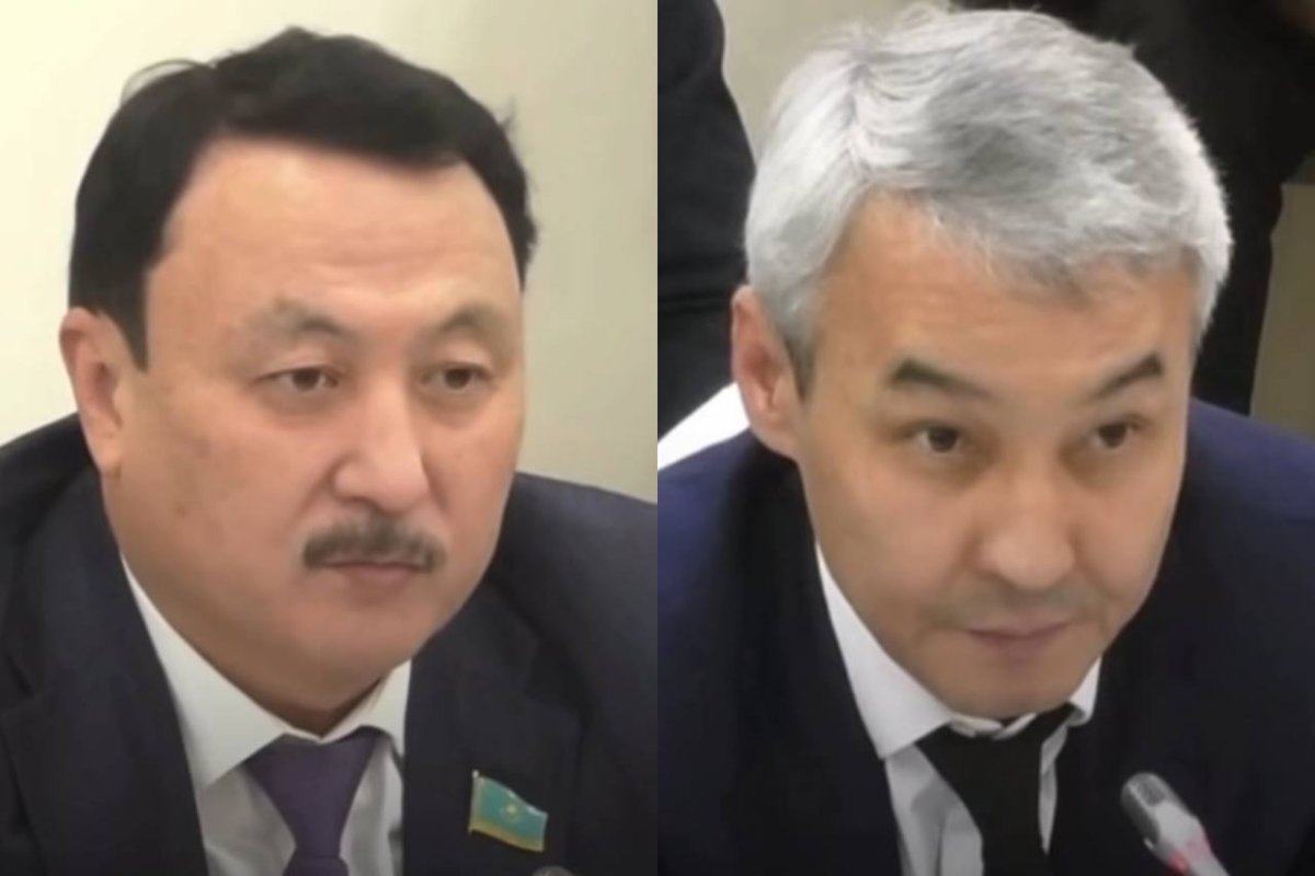 Фото: видеодан скриншот