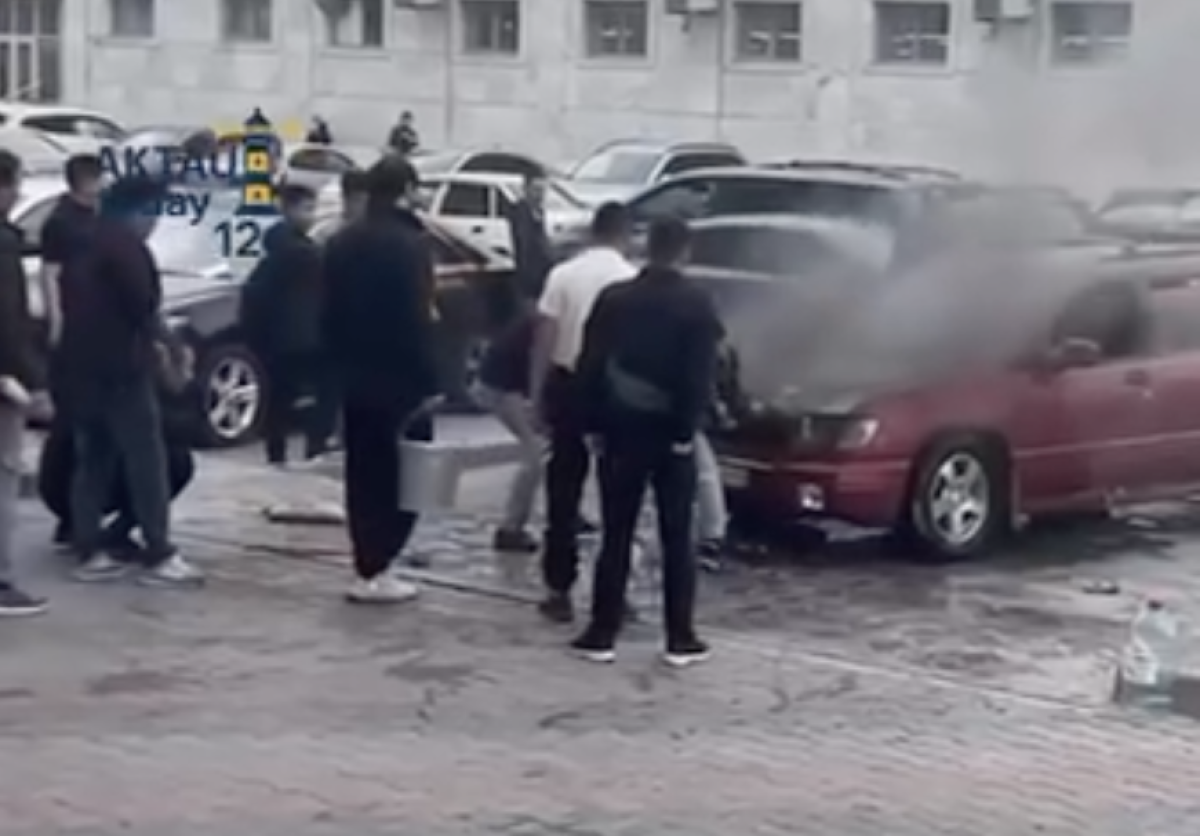 Фото: видео скриншот