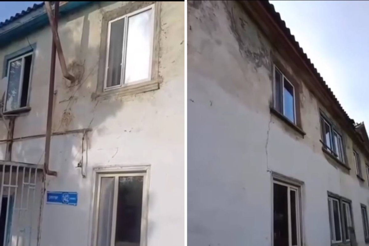Фото: видеодан скриншот