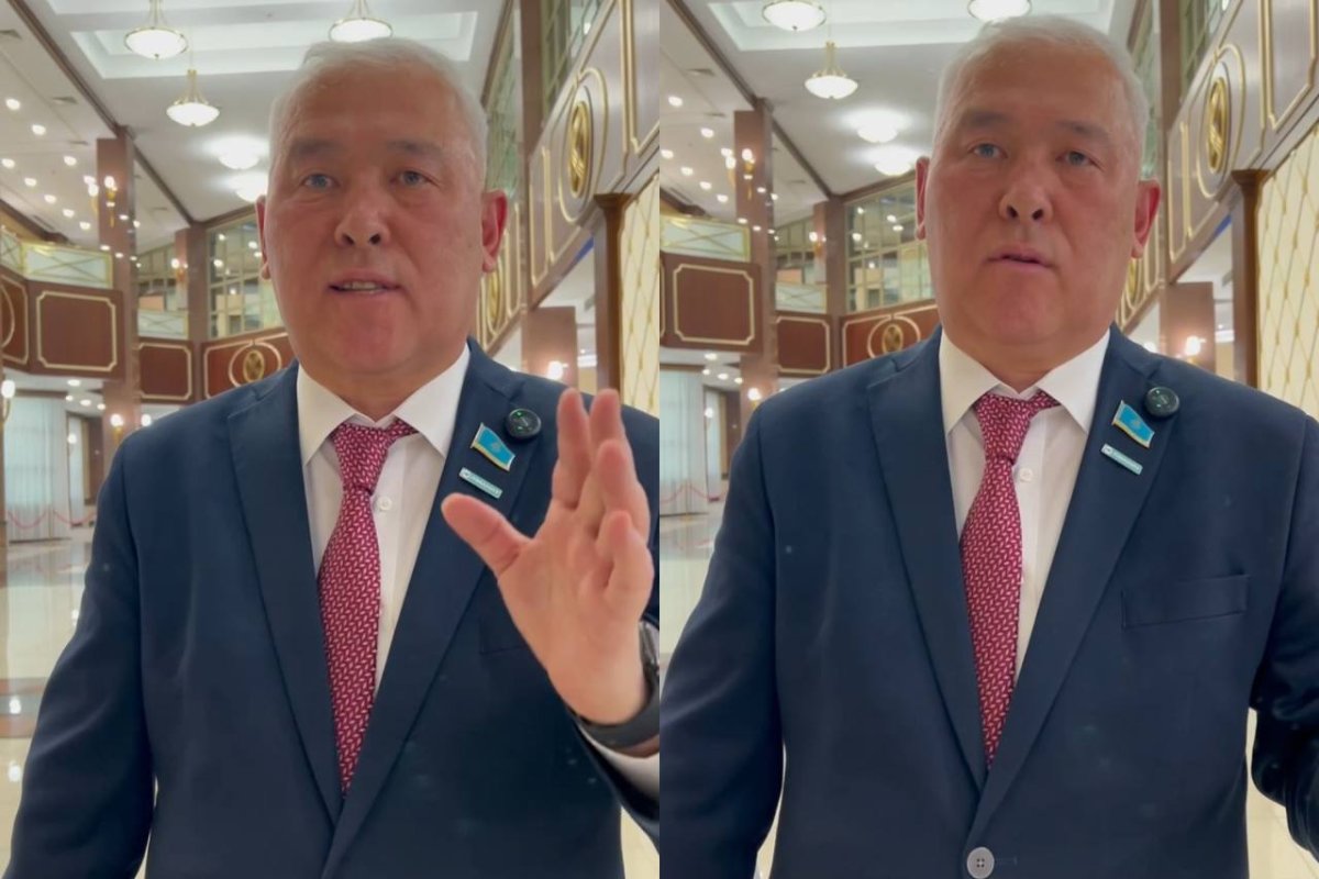 Фото: видеодан скриншот