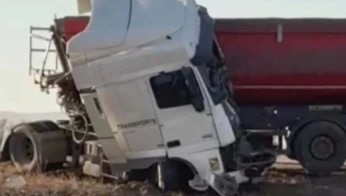 Фото: видеодан скрин