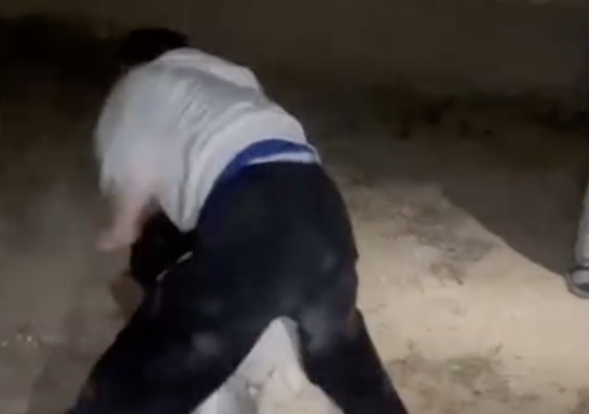 Фото: видео скриншот